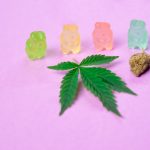 a weed leaf on a purple background with pastel coloured weed gummies and a nug of weed