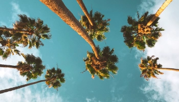 The 5 Best Cannabis Classes in Los Angeles 