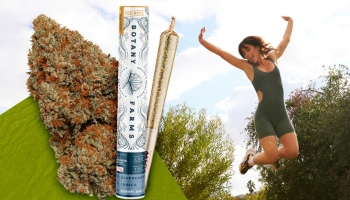 Does Indica Make You Sleepy or Hyper?