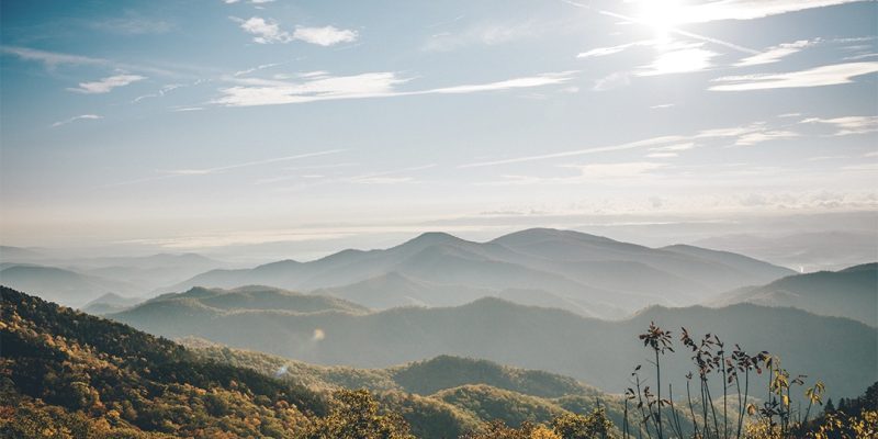 Is Delta-10 Legal In North Carolina?