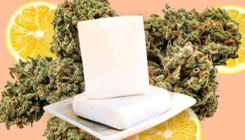 Lemon Cherry Soap Strain Review