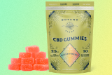 Best CBD Isolate Gummies for Anxiety