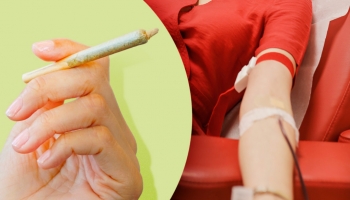 Can You Donate Plasma if You Smoke Weed?