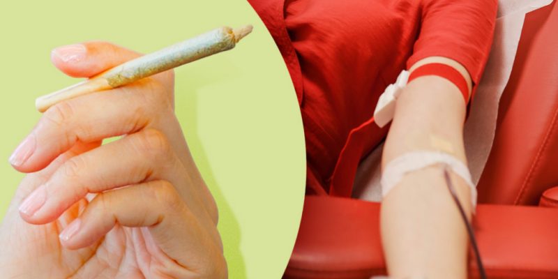 Can You Donate Plasma if You Smoke Weed?