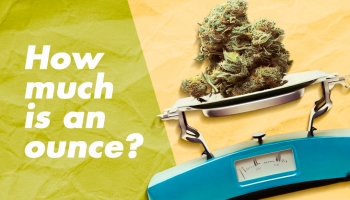 How Much is an Ounce of Weed?