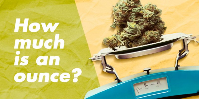 How Much is an Ounce of Weed?