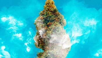 How to Get Rid of Weed Smell