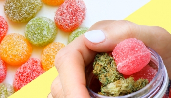 How to Make Weed Gummies
