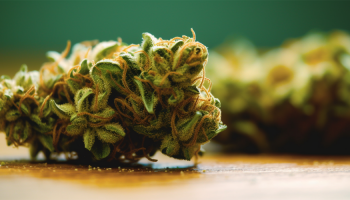 Is THCA Legal? A Closer Look State-By-State