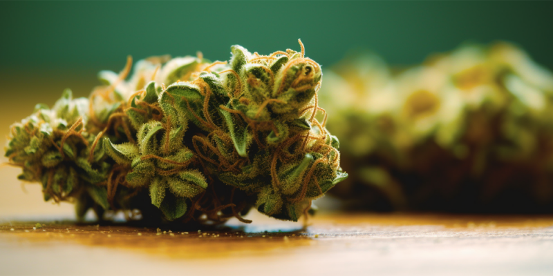 Is THCA Legal? A Closer Look State-By-State