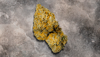 Mac 1 Strain Review