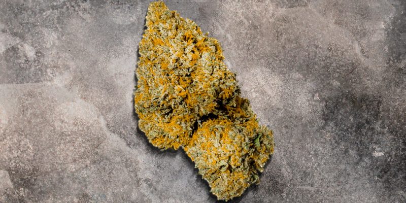 Mac 1 Strain Review