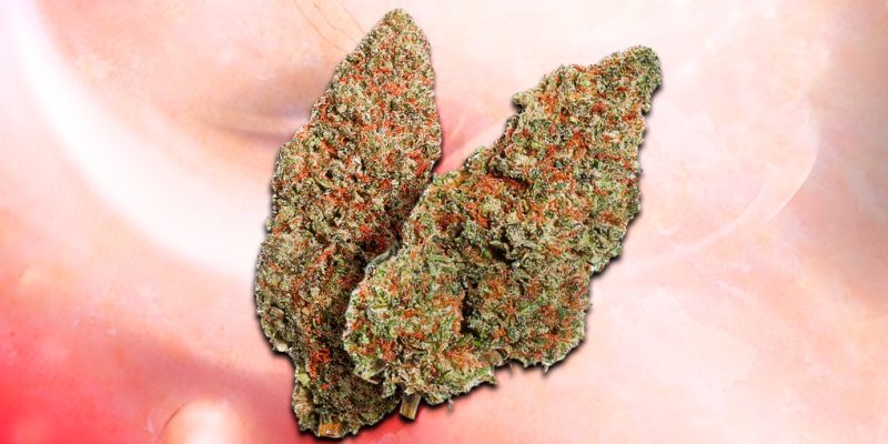 Slurricane Strain Review