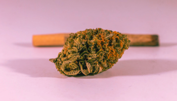 What is a High THC-a Percentage?